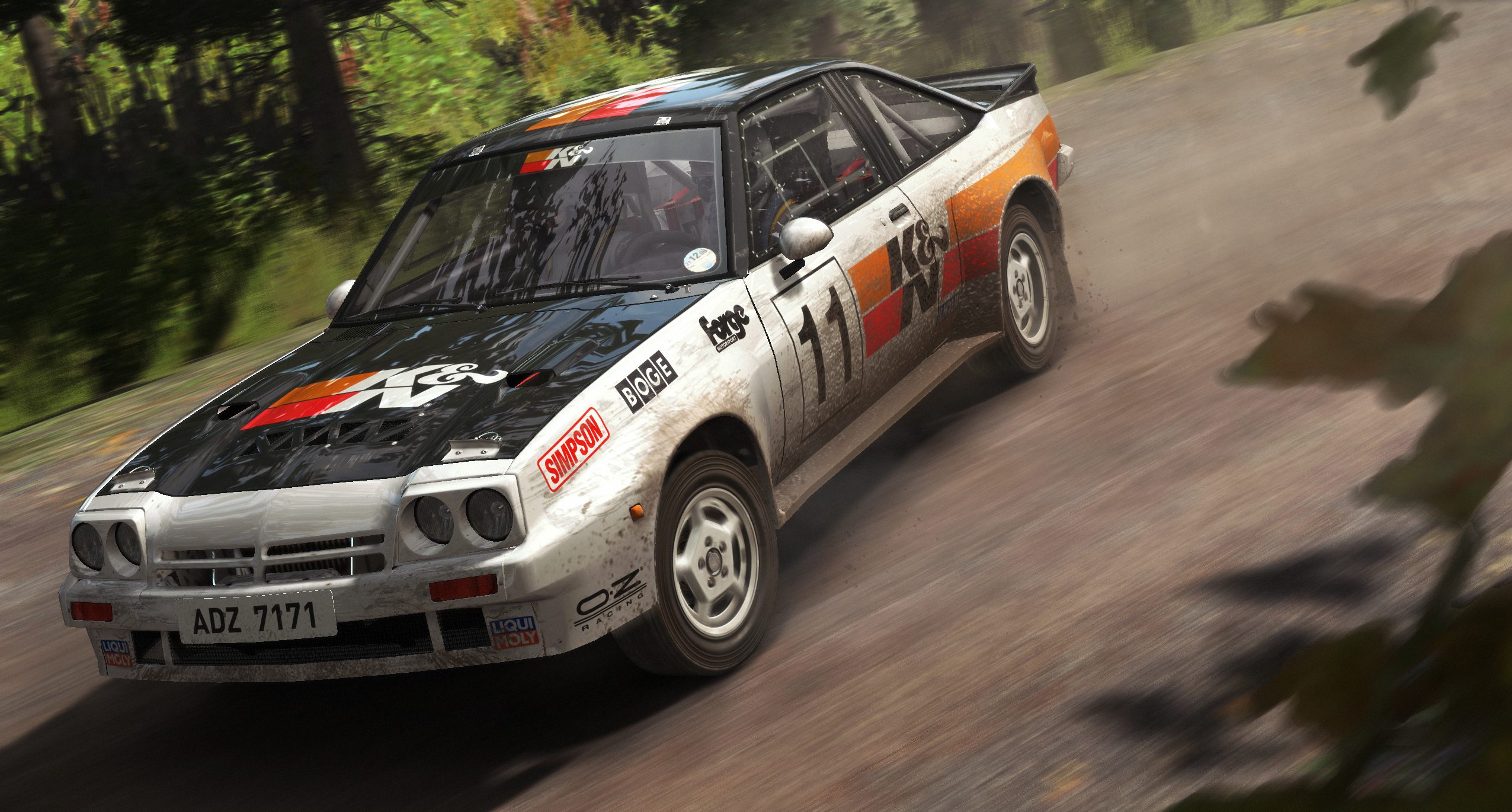 DiRT Rally - Imagen 22